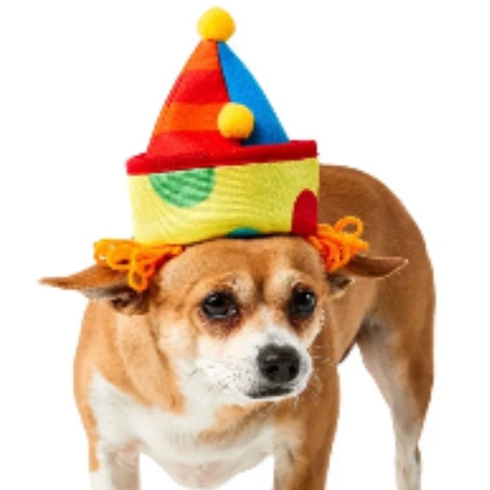 Clown hat for dogs or cat with orange yarn wig